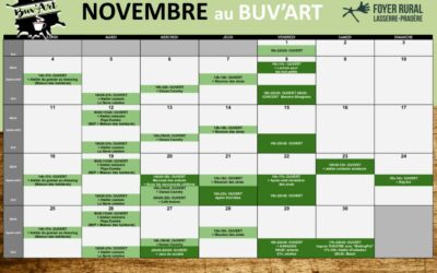 NOVEMBRE au BUV’ART